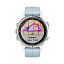 умные часы Garmin Fenix 5S Plus белые с голубым ремешком
