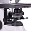 MAGUS Lum D400 LCD - люминесцентный цифровой микроскоп